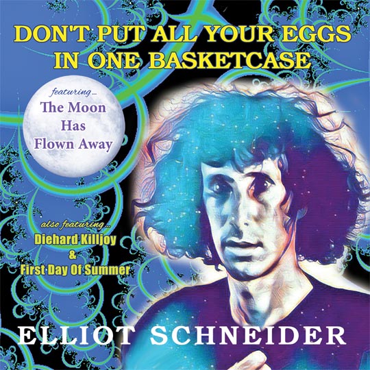 Cover-Dont-Put-All-Your-Egg-in-One-Basketcase